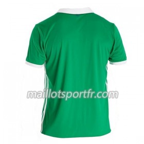 Maillot de Foot Irlande Du Nord Domicile 2018
